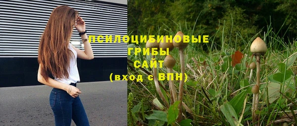 хмурый Вяземский