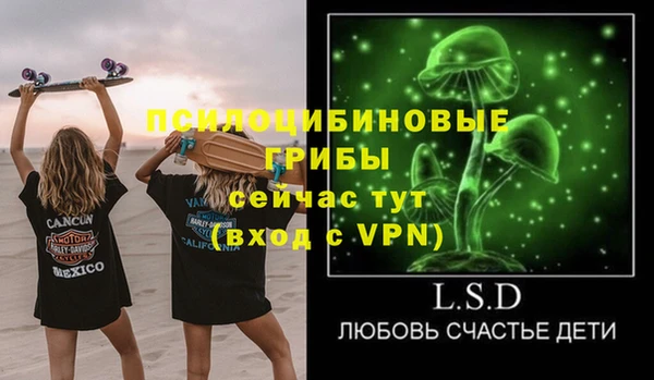 гашиш Дмитриев
